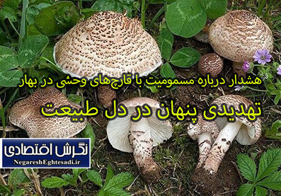 تهدیدی پنهان در دل طبیعت