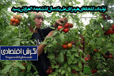 مدیر امورباغبانی سازمان جهادکشاورزی هرمزگان