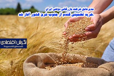 خرید تضمینی گندم از جنوب‌ شرق کشور آغاز شد
