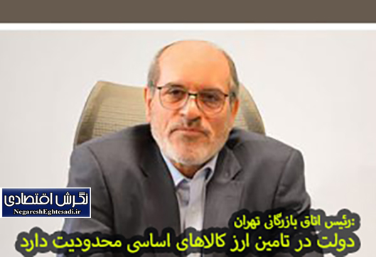 دولت در تامین ارز کالاهای اساسی محدودیت دارد