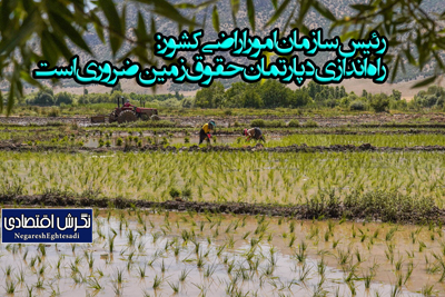 راه‌اندازی دپارتمان حقوق زمین ضروری است