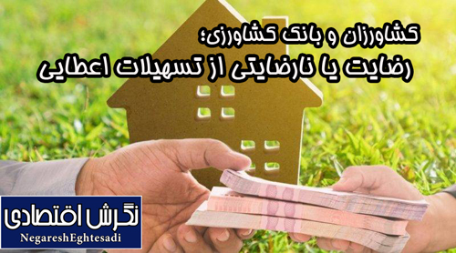 کشاورزان و بانک کشاورزی؛ رضایت یا نارضایتی از تسهیلات اعطایی