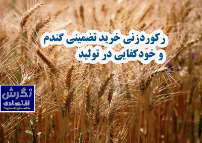 رکوردزنی خرید تضمینی گندم و خودکفایی در تولید