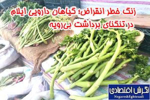 زهرا سلیمانی خبرنگار نگرش اقتصادی
