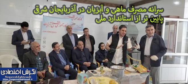 سرانه مصرف ماهی و آبزیان در آذربایجان شرقی پایین تر از استاندارد ملی