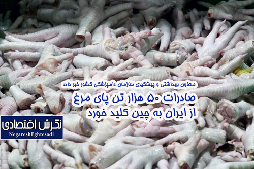 معاون بهداشتی و پیشگیری سازمان دامپزشکی کشور خبر داد: صادرات ۵۰ هزار تن پای مرغ از ایران به چین کلید خورد