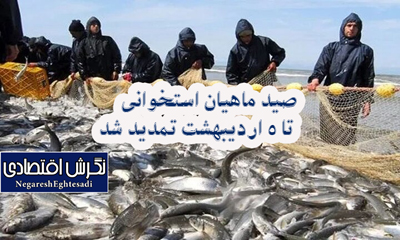 صید ماهیان استخوانی تا ۵ اردیبهشت تمدید شد