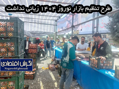طرح تنظیم بازار نوروز ۱۴۰۴ زیانی نداشت