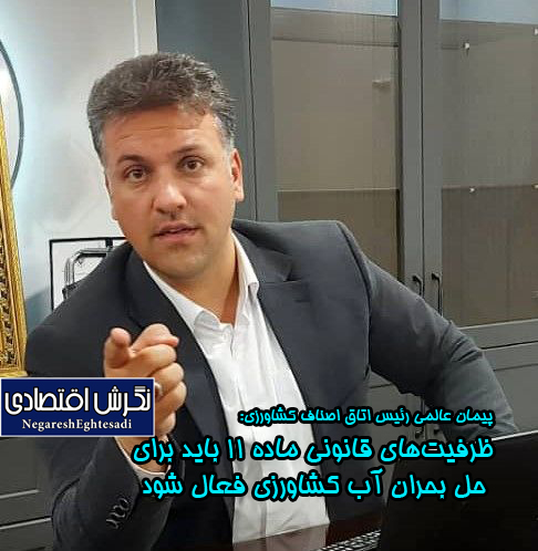 پیمان عالمی رئیس اتاق اصناف کشاورزی: ظرفیت‌های قانونی ماده ۱۱ باید برای حل بحران آب کشاورزی فعال شود