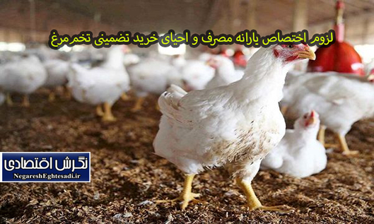 لزوم اختصاص یارانه مصرف و احیای خرید تضمینی تخم‌مرغ