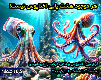  هر موجود هشت پایی اختاپوس نیست! فرق بین اختاپوس و ماهی مرکب را می‌دانید یا به همه آنها هشت پا می‌گویید؟
