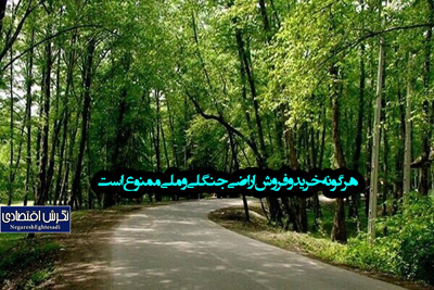 هرگونه خرید و فروش اراضی جنگلی و ملی ممنوع است