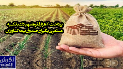 پرداخت ۲۰ هزار فقره تسهیلات بانکی به مستمری بگیران صندوق بیمه کشاورزان