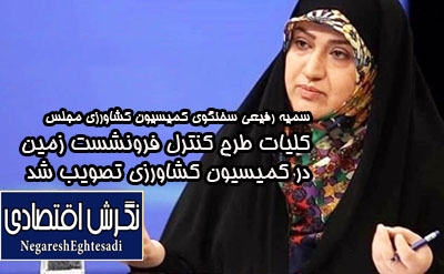 سمیه رفیعی سخنگوی کمیسیون کشاورزی مجلس کلیات طرح کنترل فرونشست زمین در کمیسیون کشاورزی تصویب شد