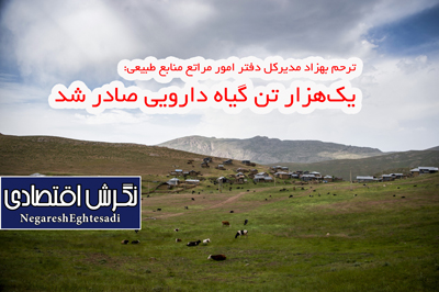 یک‌هزار تن گیاه دارویی صادر شد ضرورت پرهیز از برداشت بی‌رویه گونه‌های صحرایی