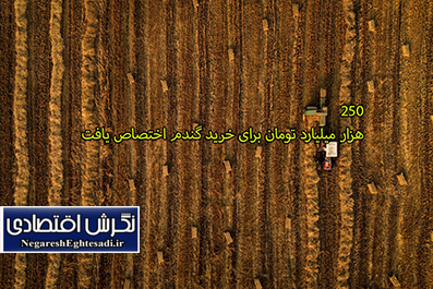  رئیس کمیسیون کشاورزی مجلس