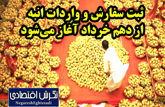 ثبت سفارش و واردات انبه از دهم خرداد آغاز می‌شود