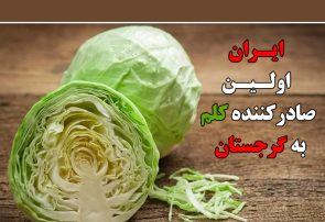 ایران اولین صادرکننده کلم به گرجستان