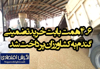 ۴.۶ همت بابت خرید تضمینی گندم به کشاورزان پرداخت شد
