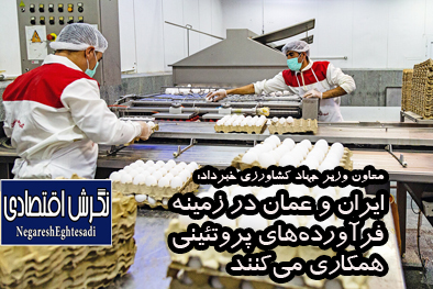 معاون وزیر جهاد کشاورزی خبرداد: ایران و عمان در زمینه فرآورده‌های پروتئینی همکاری می‌کنند