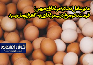 مدیرعامل اتحادیه مرغداران میهن؛ قیمت تخم مرغ درب مرغداری به ۳۰ هزارتومان رسید