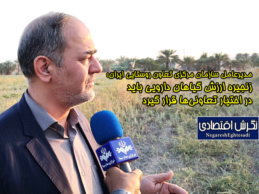 مدیرعامل سازمان مرکزی تعاون روستایی ایران: زنجیره ارزش گیاهان دارویی باید در اختیار تعاونی‌ها قرار گیرد