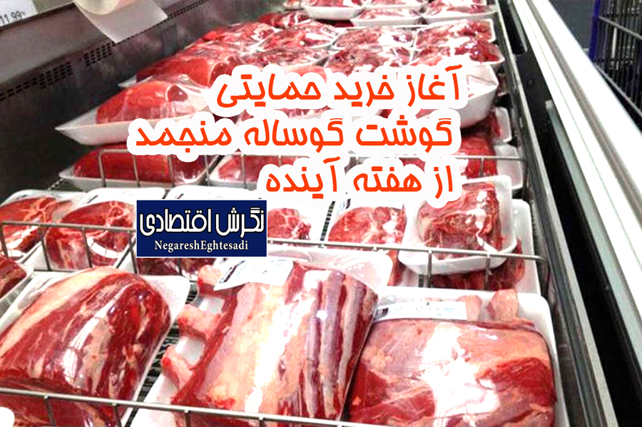 آغاز خرید حمایتی گوشت گوساله منجمد از هفته آینده