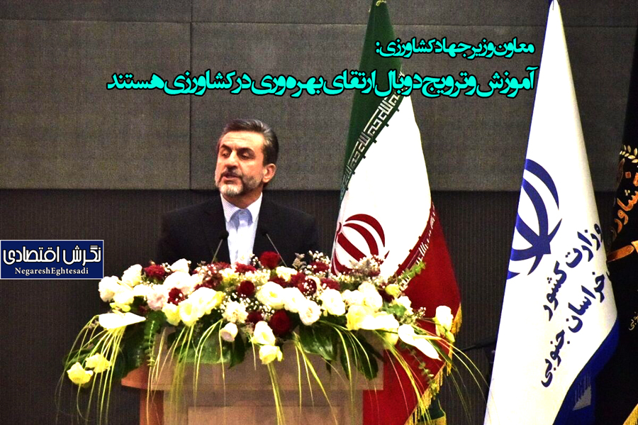 معاون وزیر جهاد کشاورزی: آموزش و ترویج دو بال ارتقای بهره‌وری در کشاورزی هستند