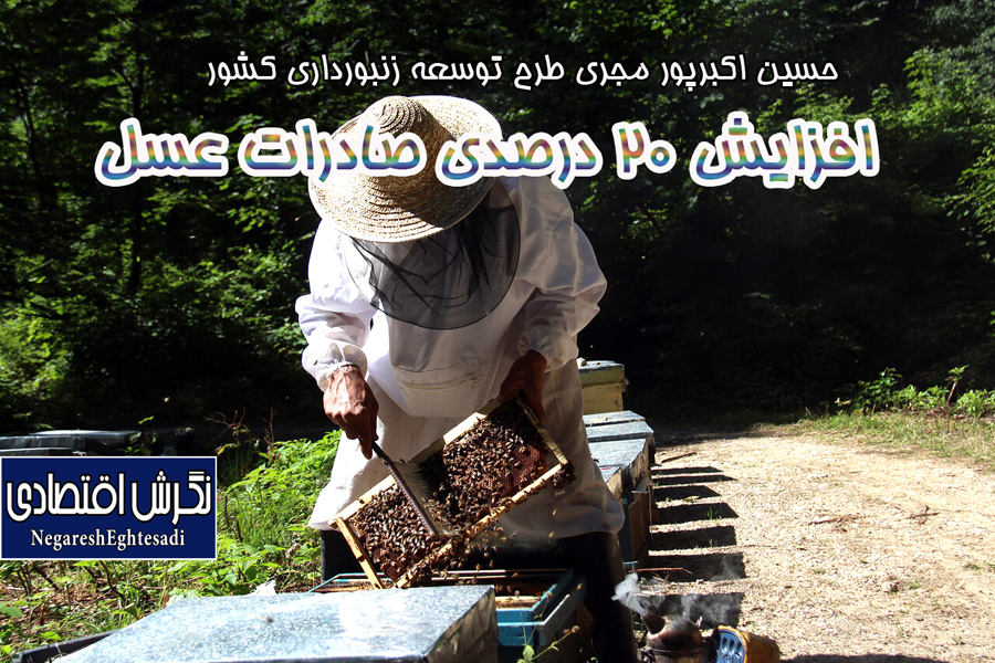 افزایش ۲۰ درصدی صادرات عسل