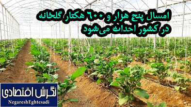 امسال پنج هزار و ۶۰۰ هکتار گلخانه در کشور احداث می‌شود