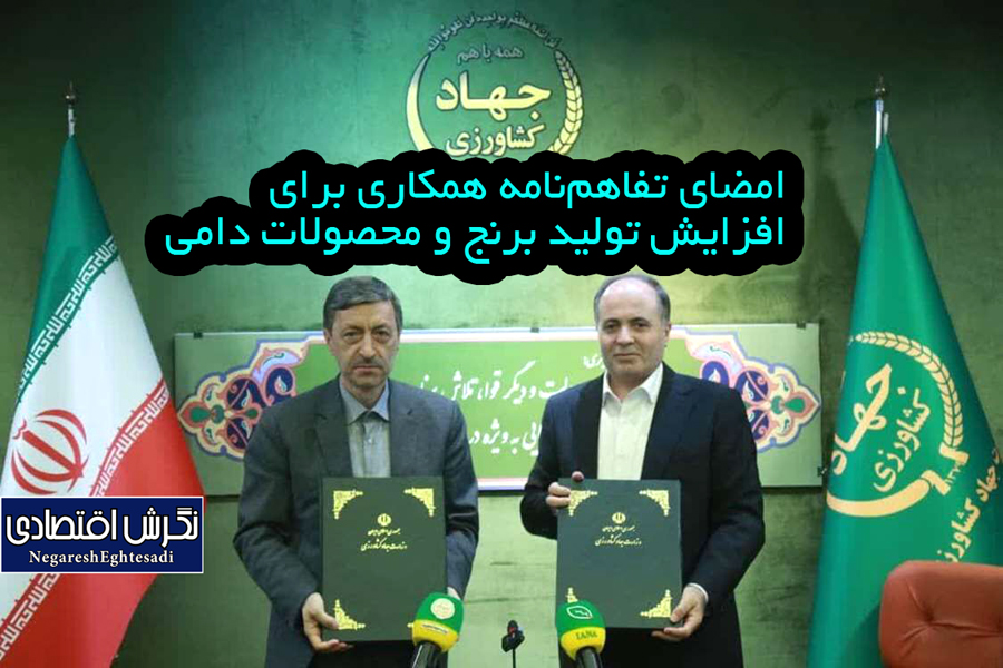 امضای تفاهم‌نامه همکاری برای افزایش تولید برنج و محصولات دامی