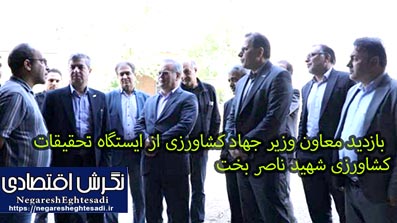 بازدید معاون وزیر جهاد کشاورزی از ایستگاه تحقیقات کشاورزی شهید ناصر بخت