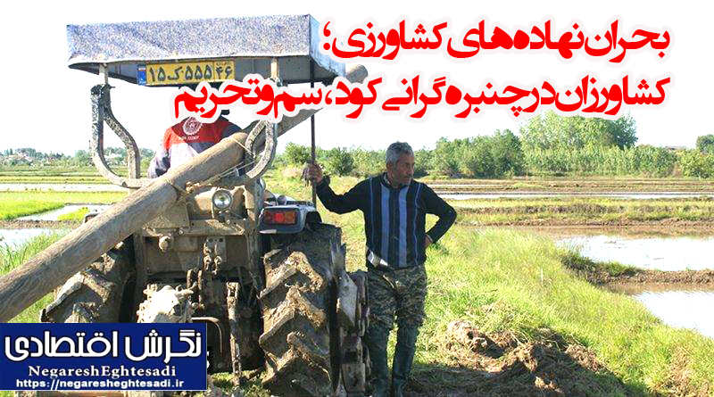 بحران نهاده‌های کشاورزی؛ کشاورزان در چنبره گرانی کود، سم و تحریم