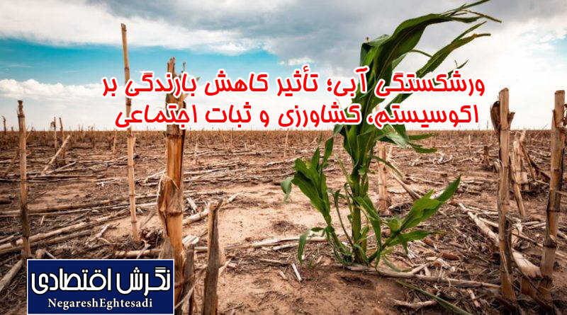 تأثیر کاهش بارندگی بر اکوسیستم، کشاورزی و ثبات اجتماعی