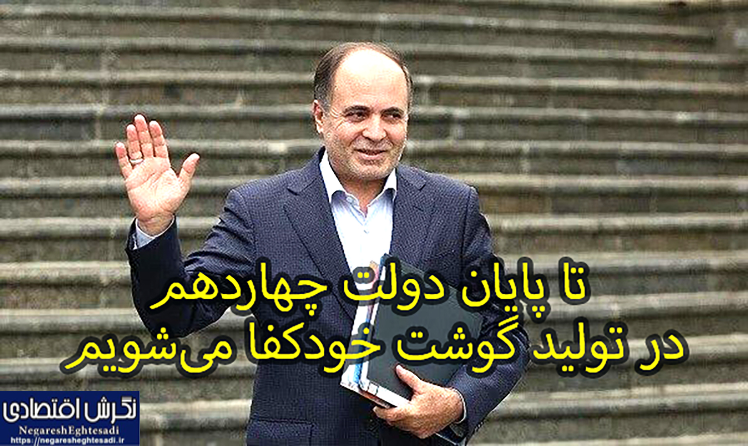 تا پایان دولت چهاردهم در تولید گوشت خودکفا می‌شویم