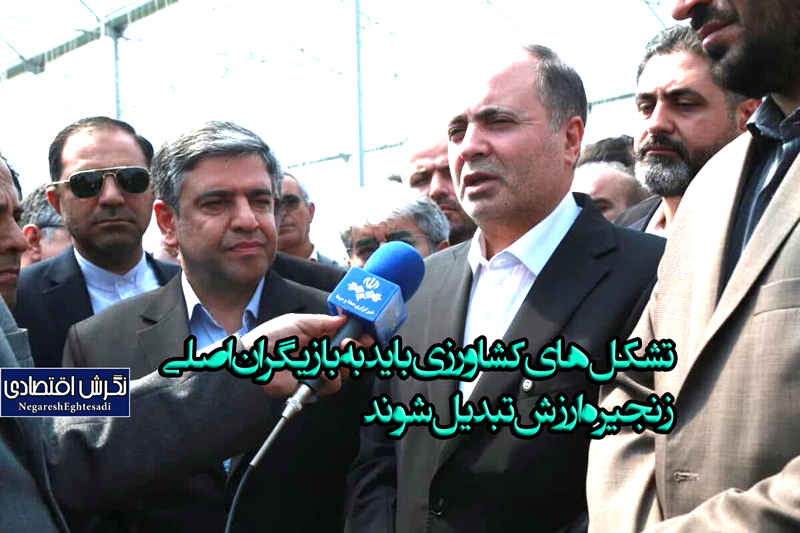 تشکل‌های کشاورزی باید به بازیگران اصلی زنجیره ارزش تبدیل شوند