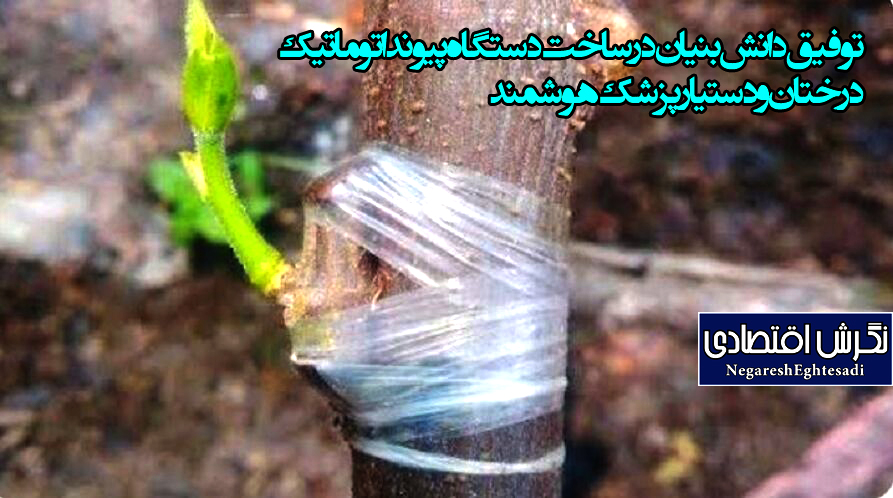 توفیق دانش‌بنیان در ساخت دستگاه پیوند اتوماتیک درختان و دستیار پزشک هوشمند