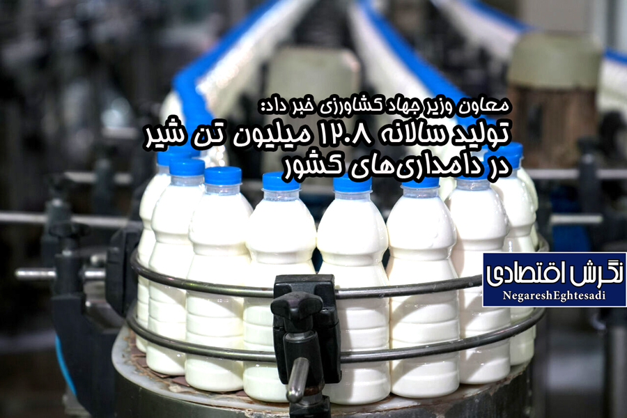 معاون وزیر جهاد کشاورزی خبر داد: تولید سالانه ۱۲.۸ میلیون تن شیر در دامداری‌های کشور
