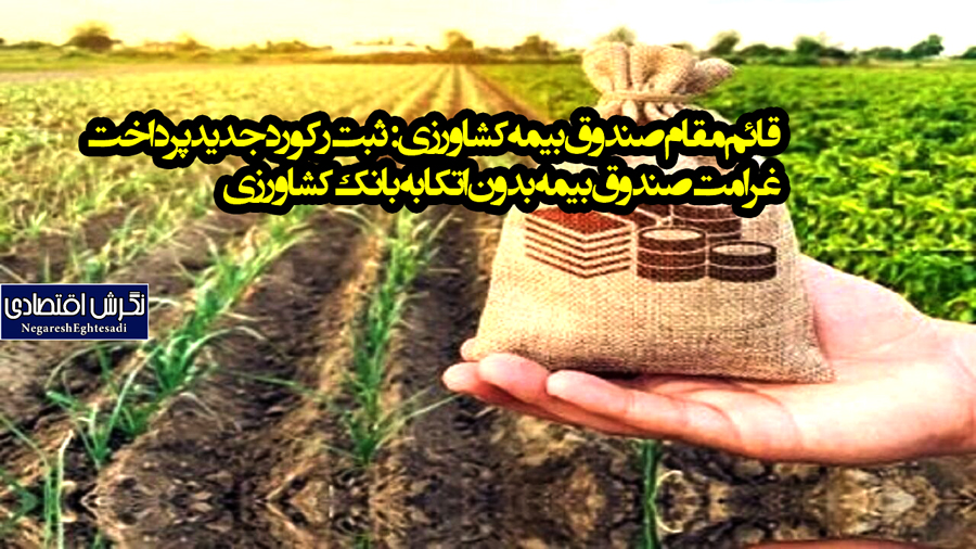 قائم‌مقام صندوق بیمه کشاورزی: ثبت رکورد جدید پرداخت غرامت صندوق بیمه بدون اتکا به بانک کشاورزی