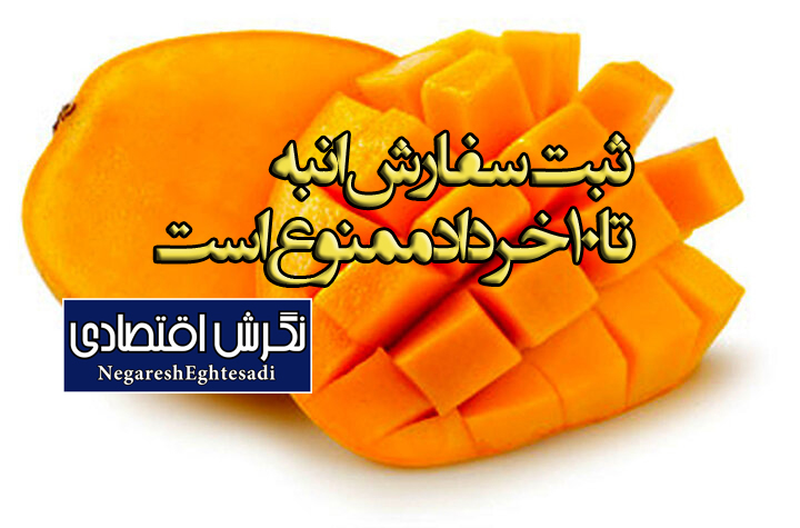 ثبت‌سفارش انبه تا ۱۰ خرداد ممنوع است