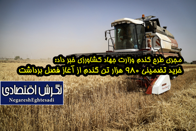 خرید تضمینی ۹۸۰ هزار تن گندم از آغاز فصل برداشت