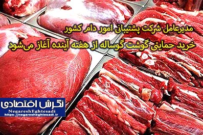 خرید حمایتی گوشت گوساله از هفته آینده آغاز می‌شود
