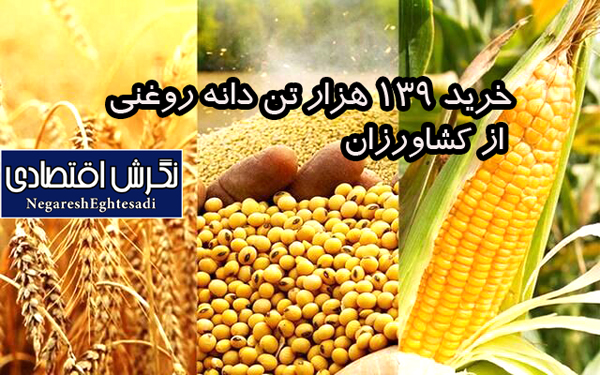 خرید ۱۳۹ هزار تن دانه روغنی از کشاورزان