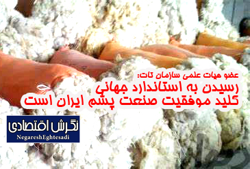 عضو هیات علمی سازمان تات: رسیدن به استاندارد جهانی کلید موفقیت صنعت پشم ایران است