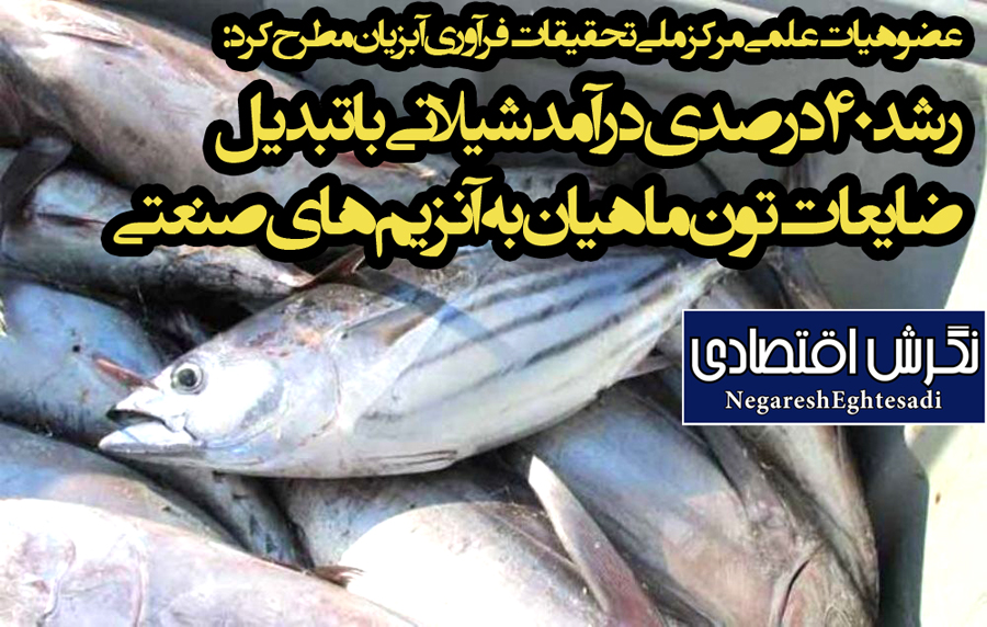 رشد ۴۰ درصدی درآمد شیلاتی با تبدیل ضایعات تون ماهیان به آنزیم‌های صنعتی