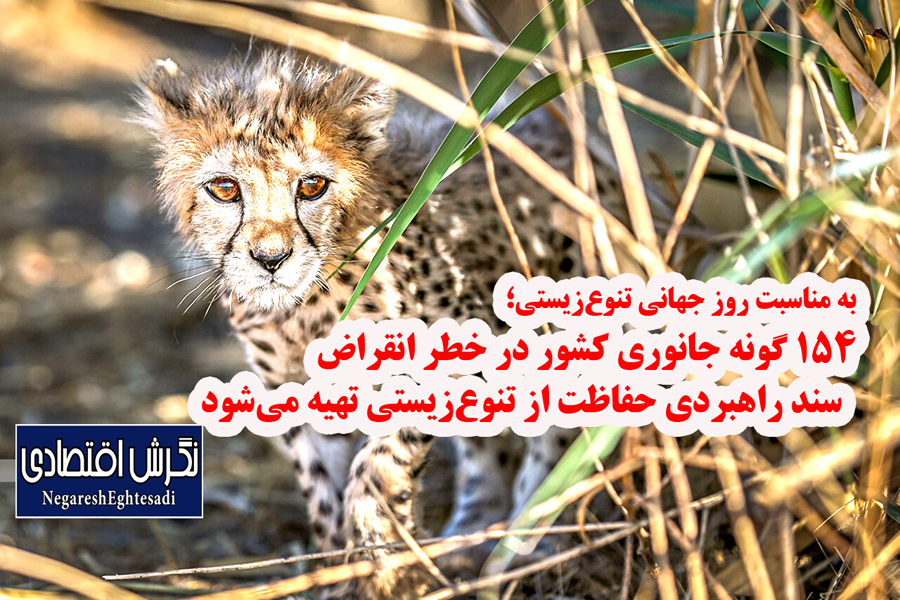سند راهبردی حفاظت از تنوع‌زیستی تهیه می‌شود