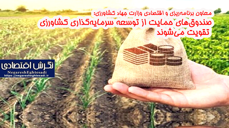معاون برنامه‌ریزی و اقتصادی وزارت جهاد کشاورزی: