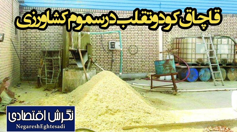 قاچاق کود و تقلب در سموم کشاورزی؛ بحران خاموشی که امنیت غذایی را میبلعد