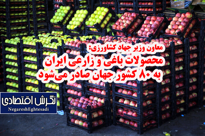 معاون وزیر جهاد کشاورزی: محصولات باغی و زارعی ایران به ۸۰ کشور جهان صادر می‌شود