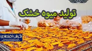 مقاله-در-مورد-تولید-میوه-خشک